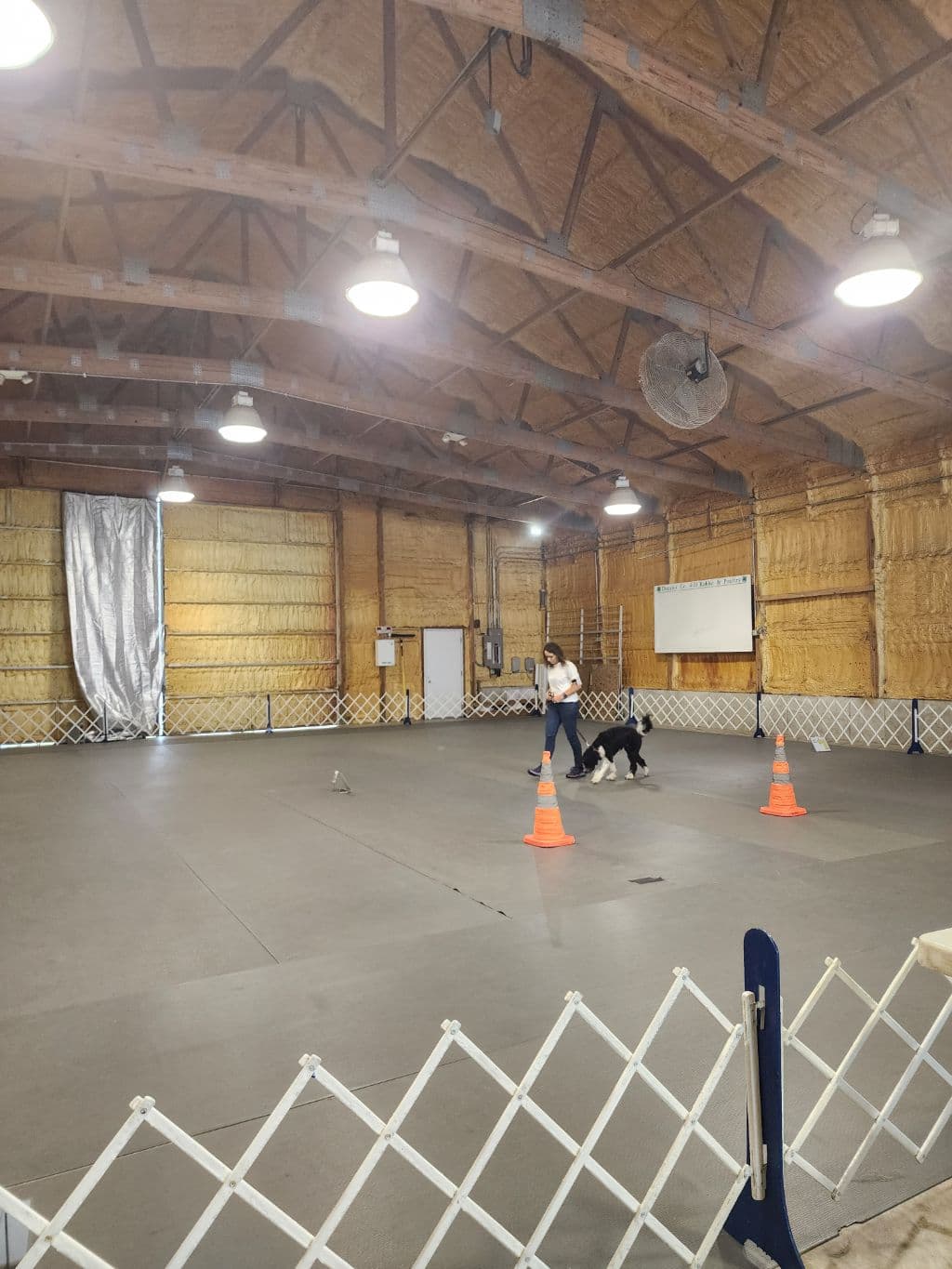 Rally and Obedience