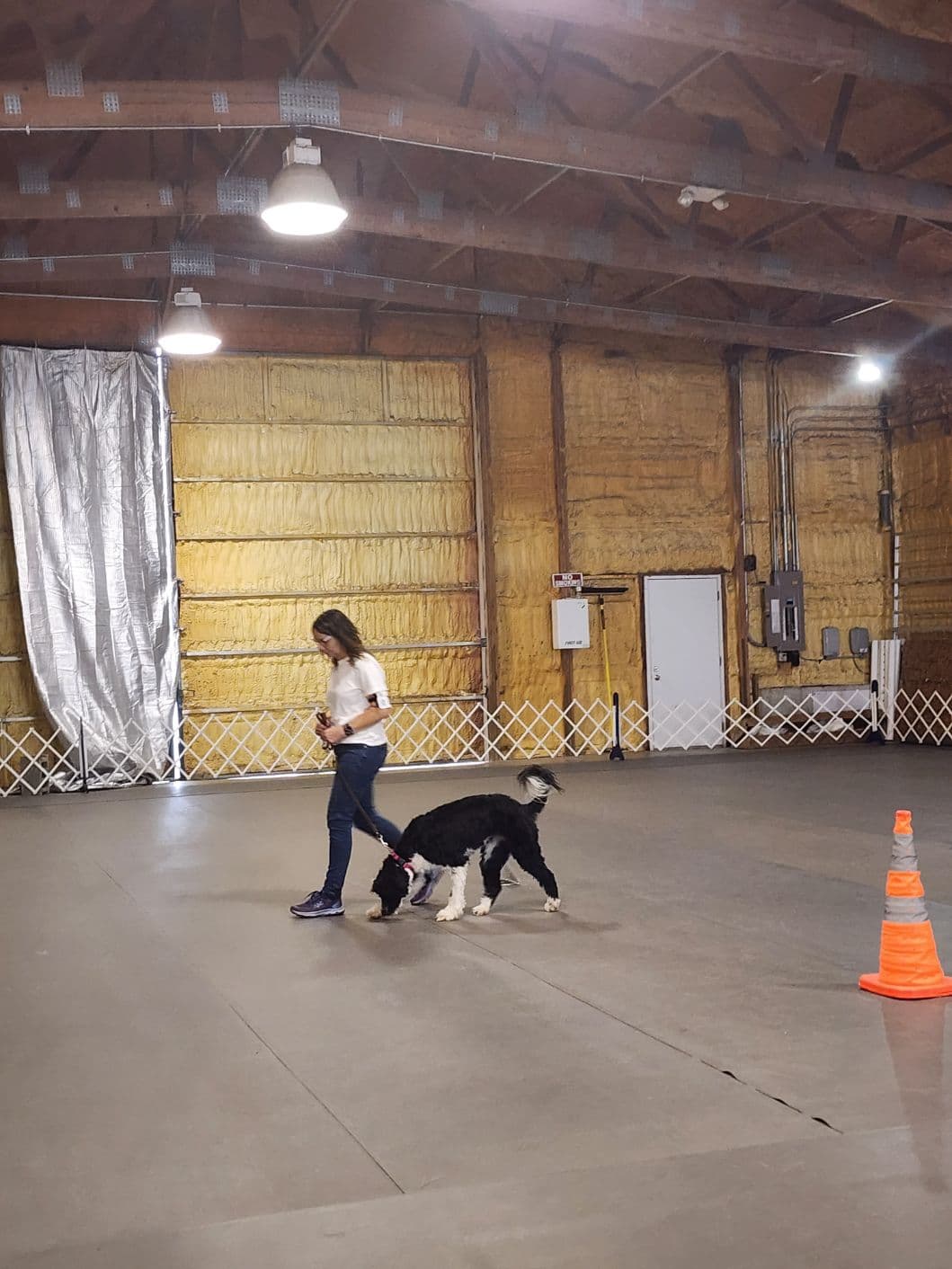 Rally and Obedience