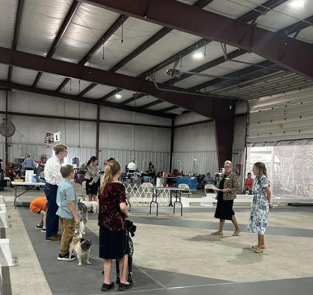 Junior Handler Clinic