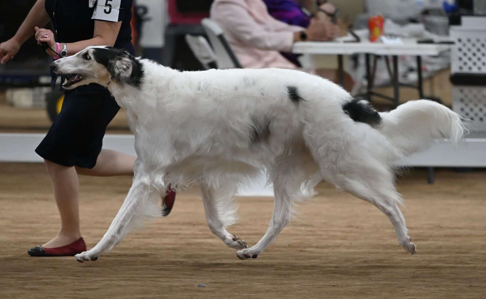 DSC_5304a
