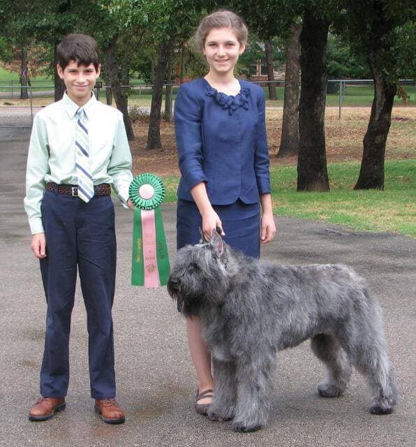 Annessa and Cortlund’s first show with the family’s very first registered purebred dog.