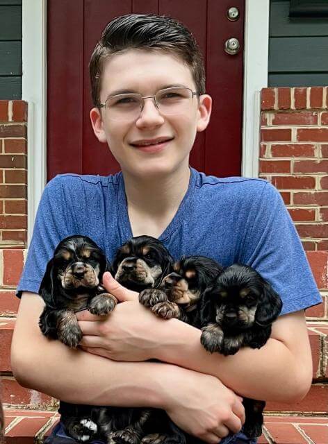 Gideon hugs his litter of English Cockers