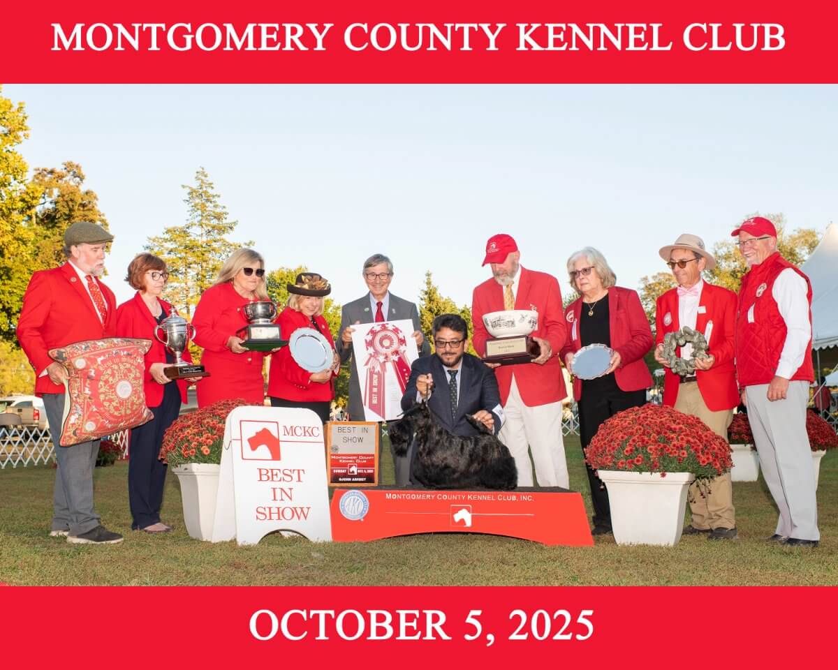 Montgomery County Kennel Club: Best in Show
