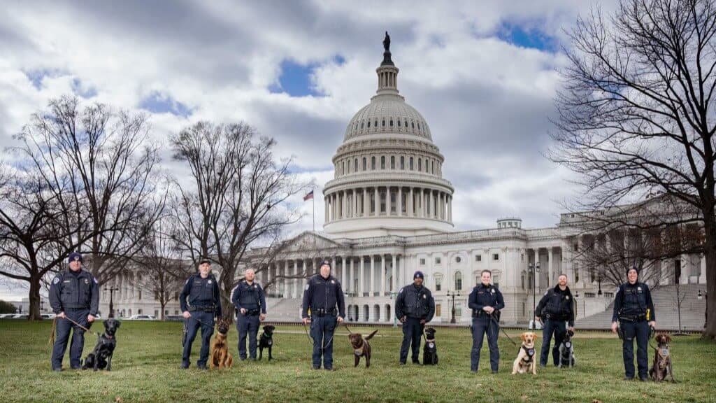 Each dog seen here was specifically bred for law enforcement, and they are in Washington, D.C. protecting our nation’s capitol.