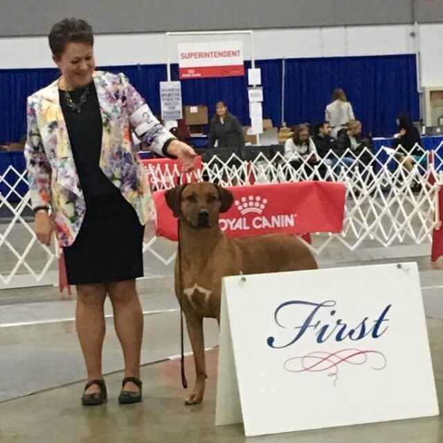 Cindy A Pike at a dog show
