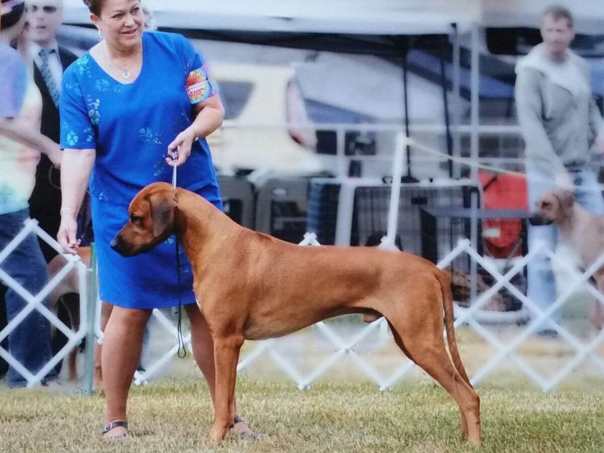 Cindy A Pike in a dog show ring