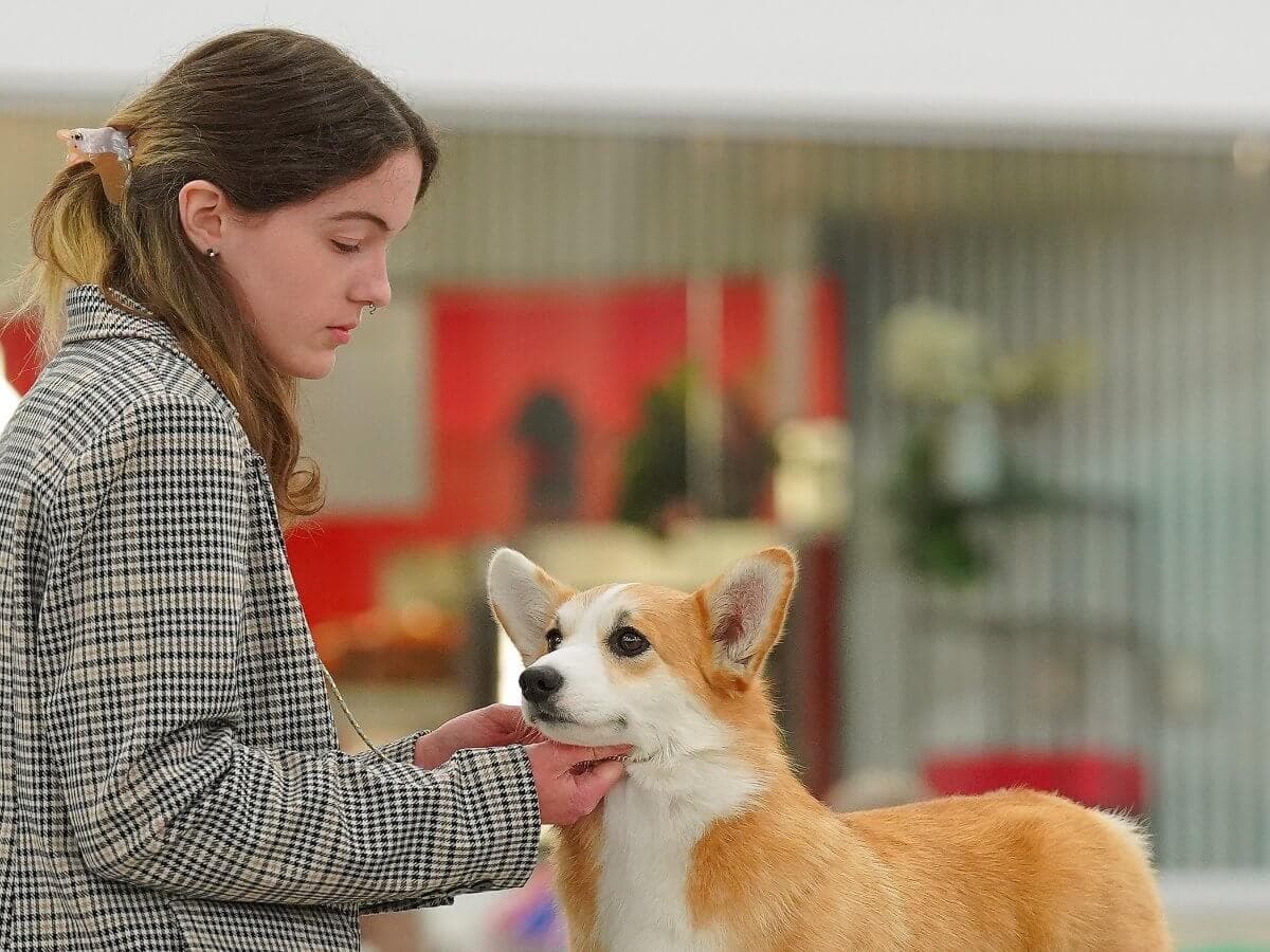 Junior Handler Kyleigh Mingee at a dog show