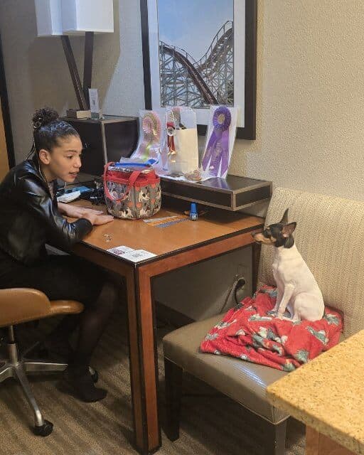 Ava Silva is sitting at a desk. The desk has a lamp and a picture on it. 
