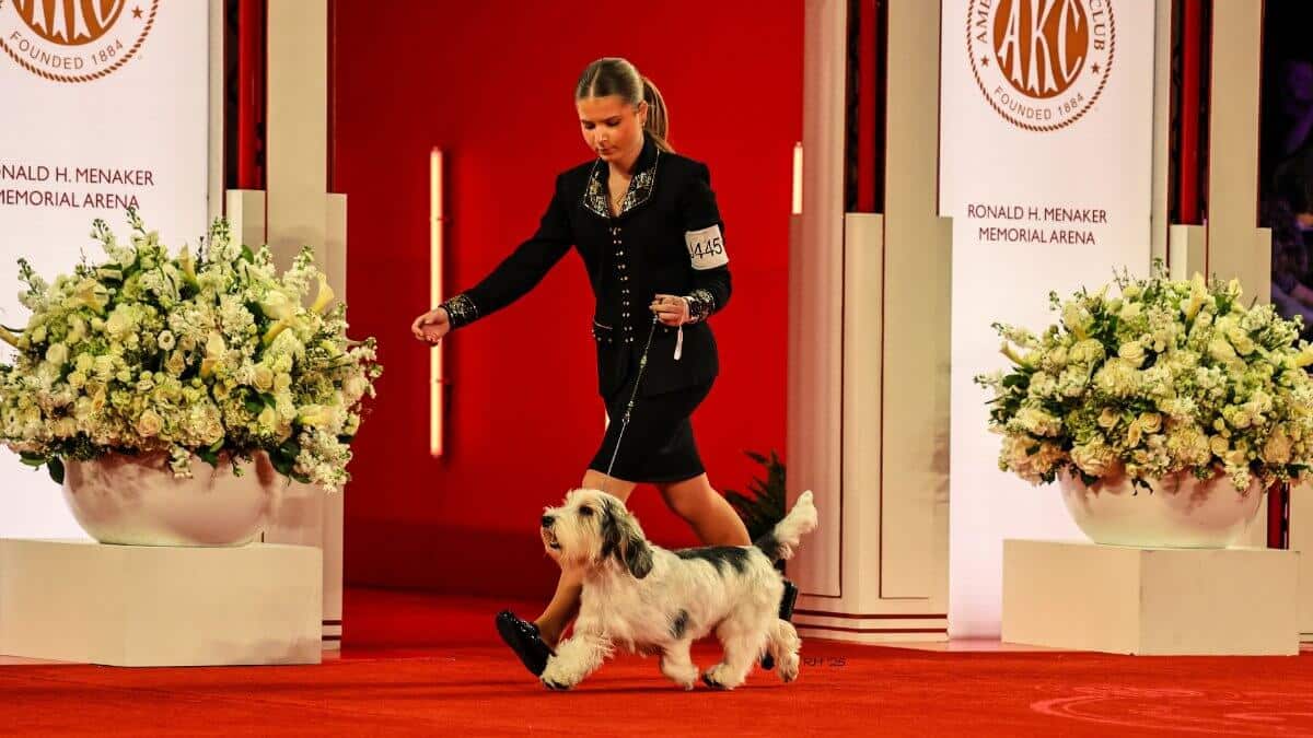 Tatum Bartlett: 2025 AKC National Championship Best Junior Handler