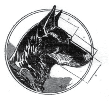 Ideal Beaucaron head by Mr. Siraudin
