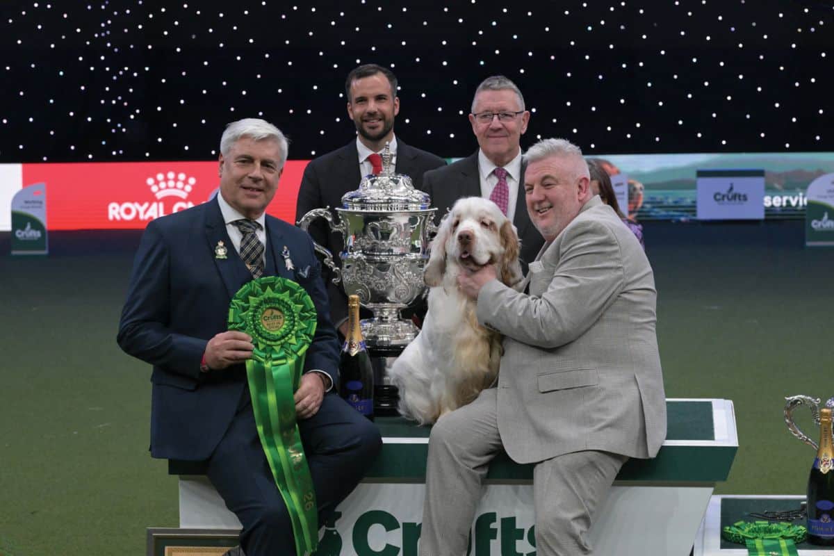 2026 Crufts winner