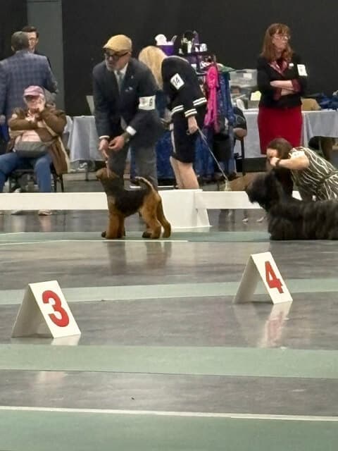 Walla Walla Kennel Club 2026 Dog Show | Pasco, Washington