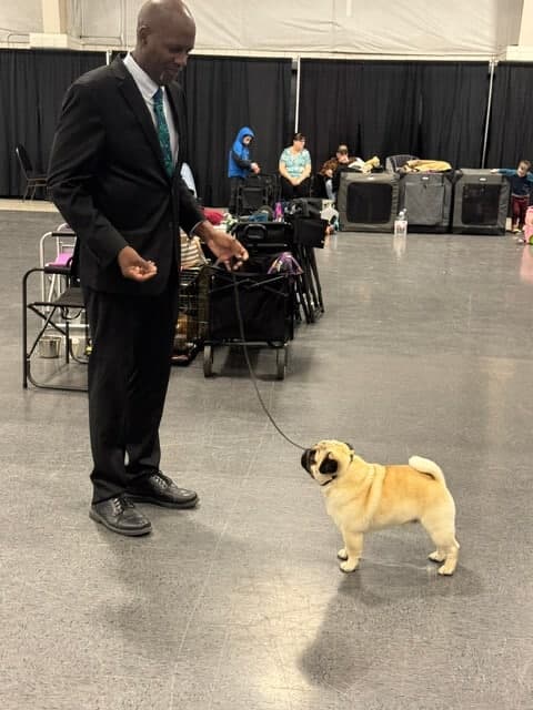 Walla Walla Kennel Club 2026 Dog Show | Pasco, Washington