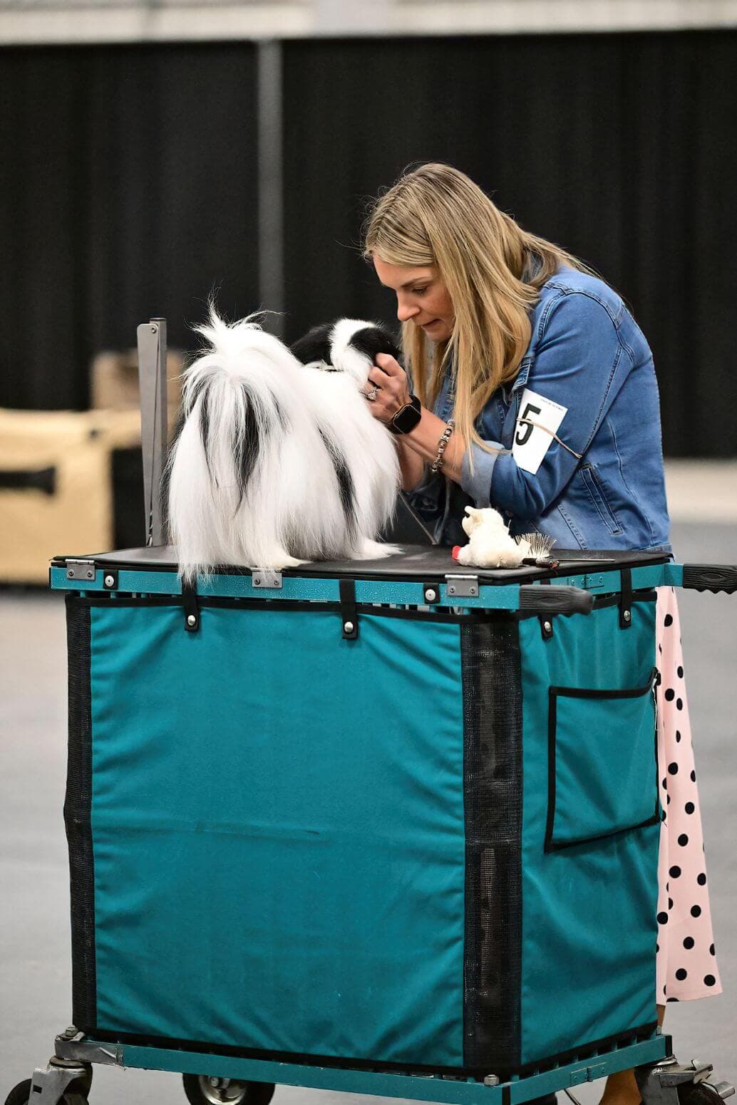 Walla Walla Kennel Club 2026 Dog Show | Pasco, Washington