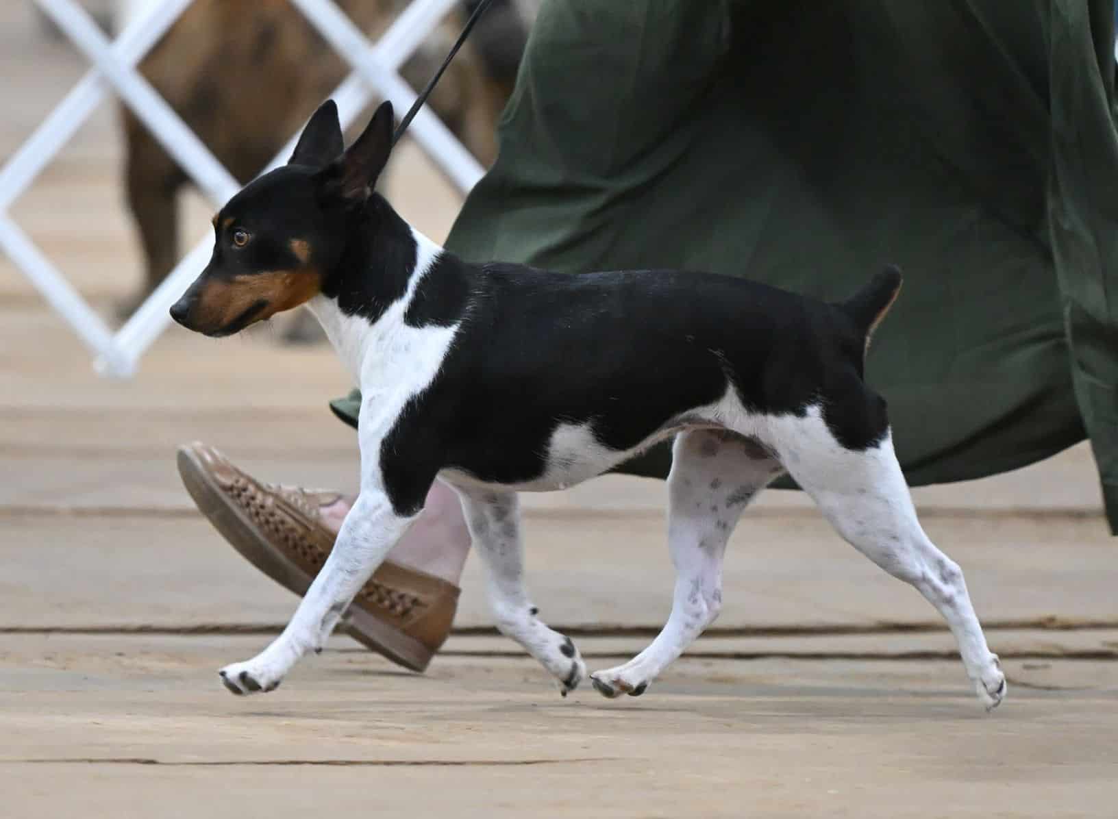 DSC_9770a