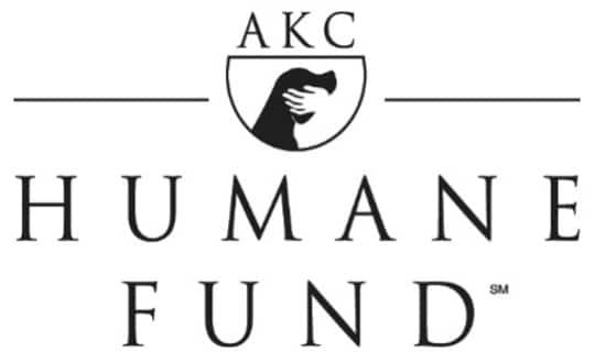 AKC Humane Fund | John D. Spurling Scholarship Now Open to Students