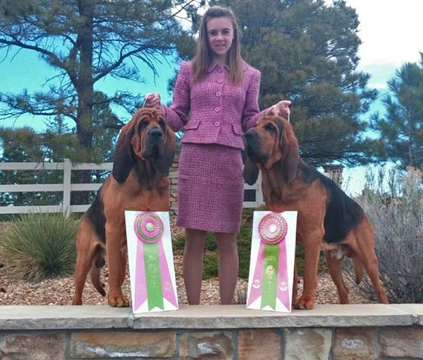 Announcing The Hound Club Junior Star Program