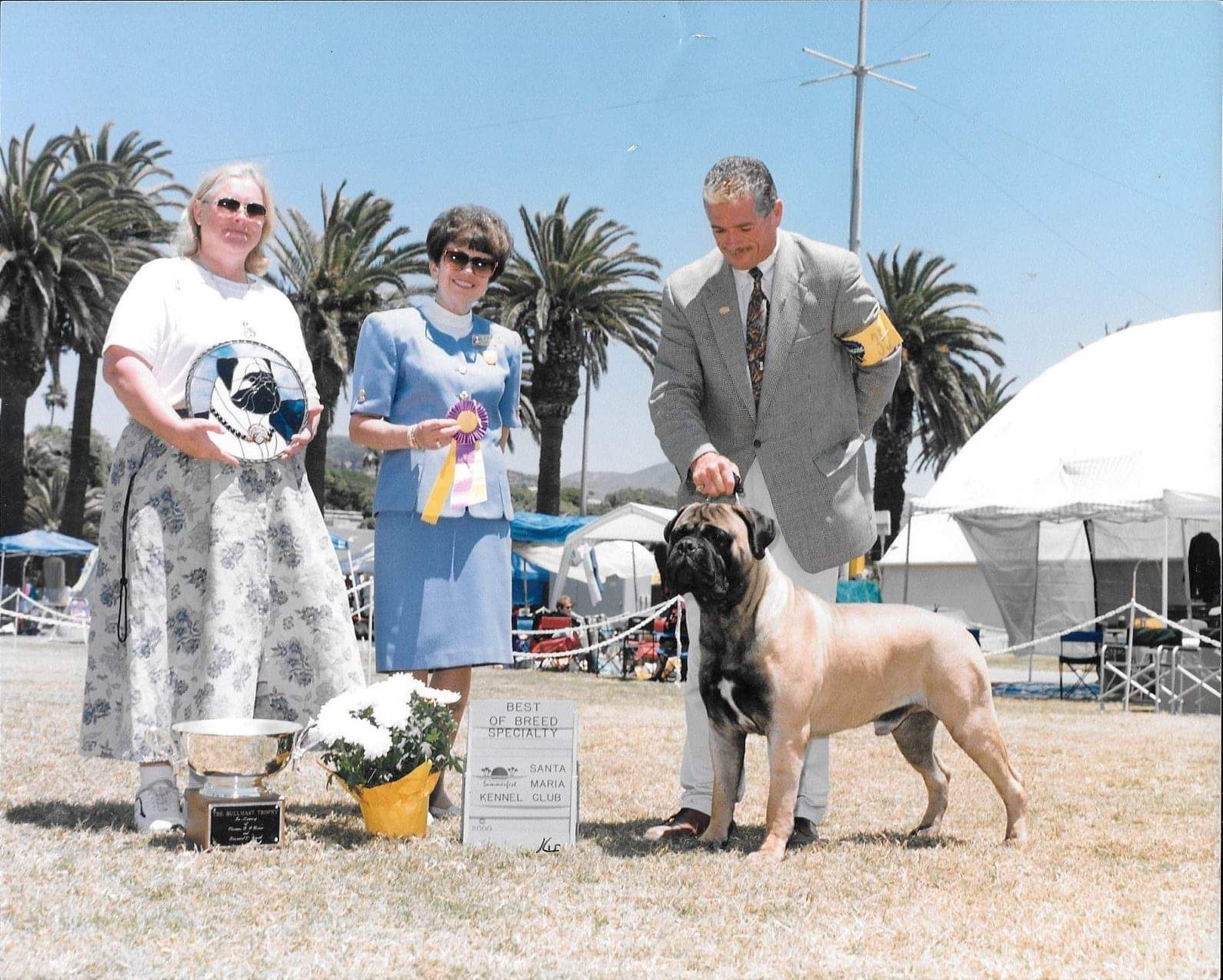 Official Bullmastiff Standard |