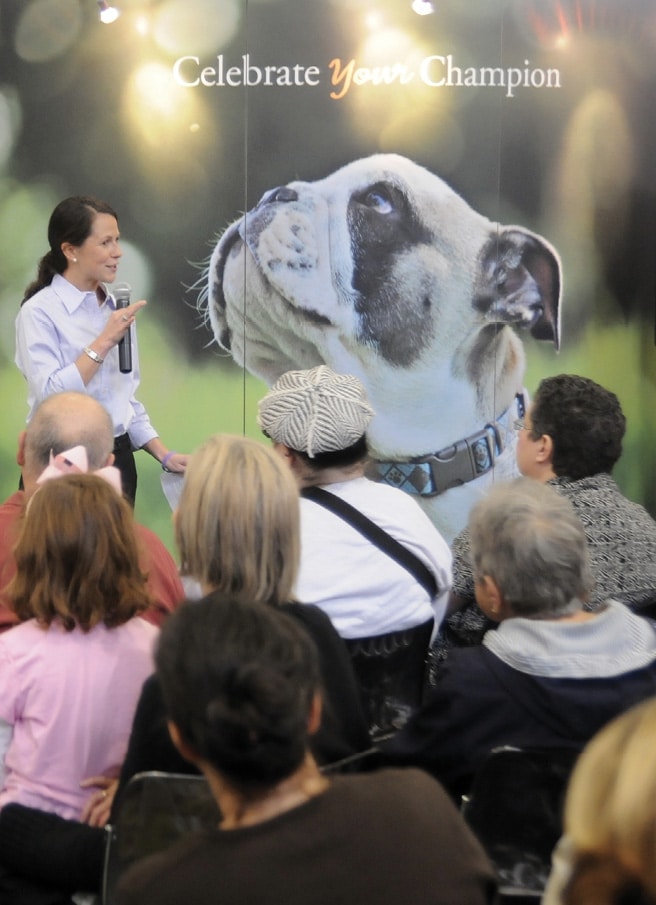 Owner Handlers Partnerships