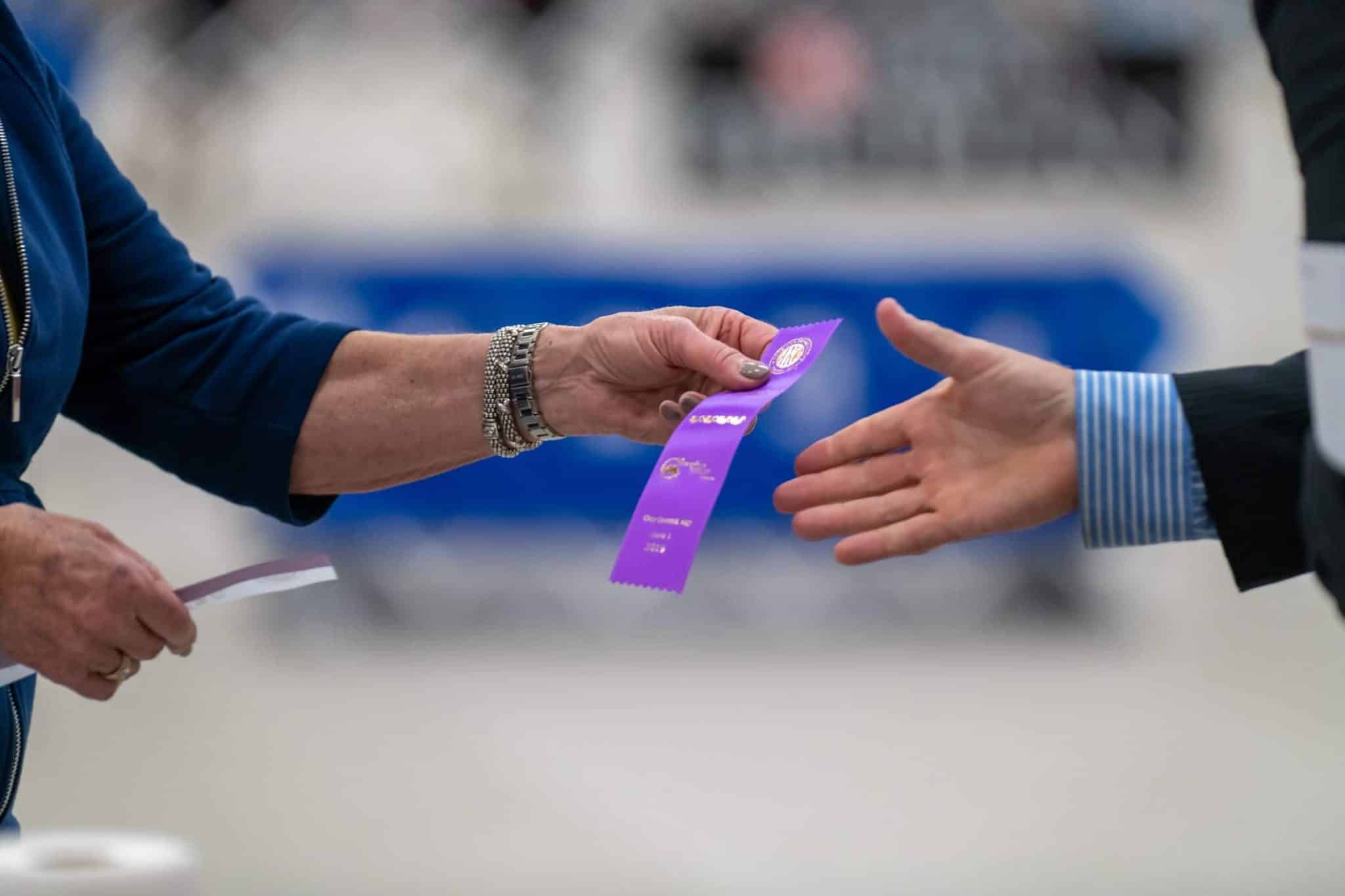 Dog Show Parking, Grooming, and Human Behavior