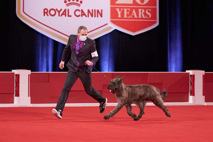 2021 National Owner Handled Series Judges