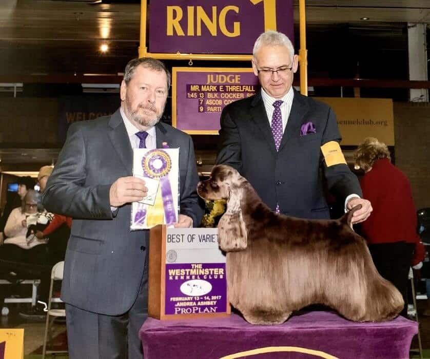 Sporting Group Judge Mark Threlfall