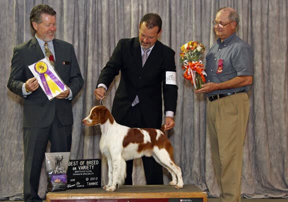 Sporting Group Judge Dr. Steven Herman