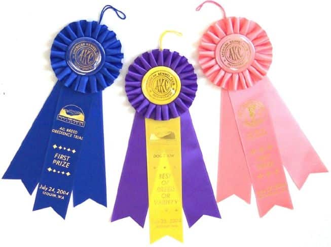 How Can Owner Handlers Measure Progress ? | Ribbons, Rankings & Rants