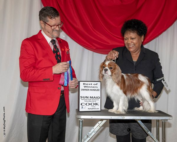 Meet Toy Group Judge Darryl Vice