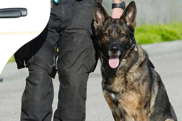 AKC Reunite Announces 100th Grant Donated Through Adopt a K-9 Cop Matching Grant Program