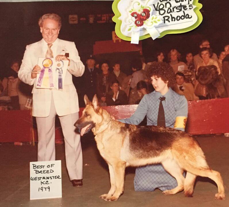 Von Darste German Shepherds | Dara Conklin