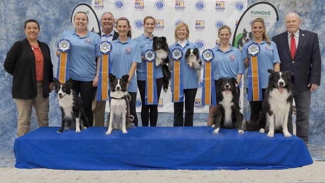 2022 National Agility Championship