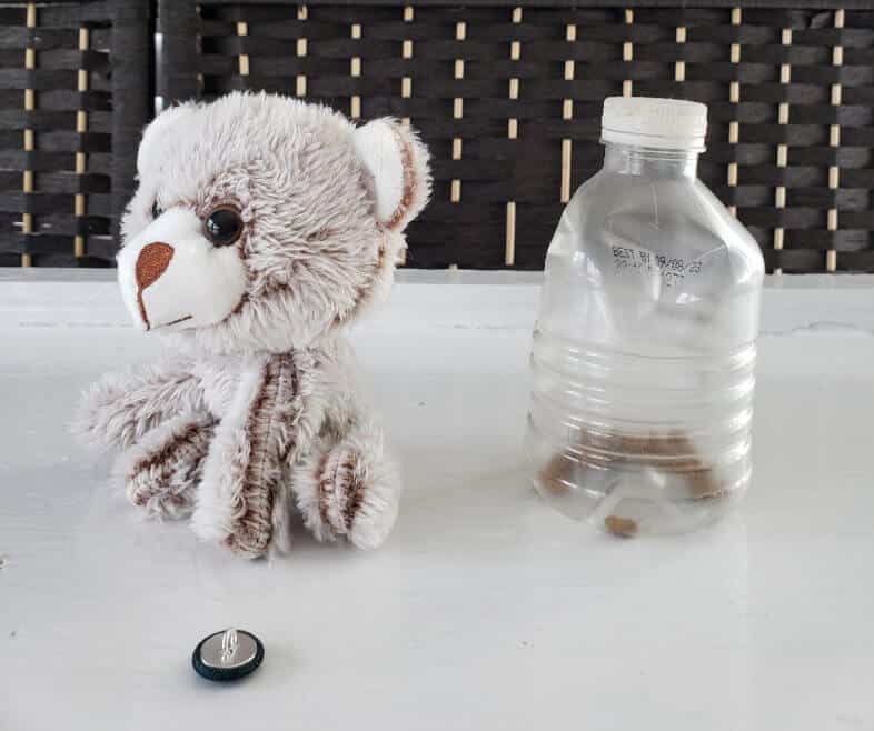 Toys Not Safe for Toy Dogs