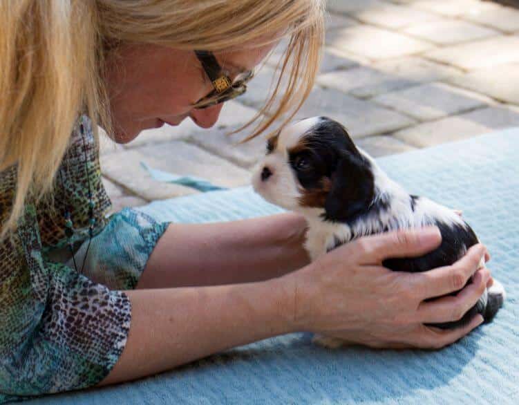 Evera True Cavaliers | Michele True