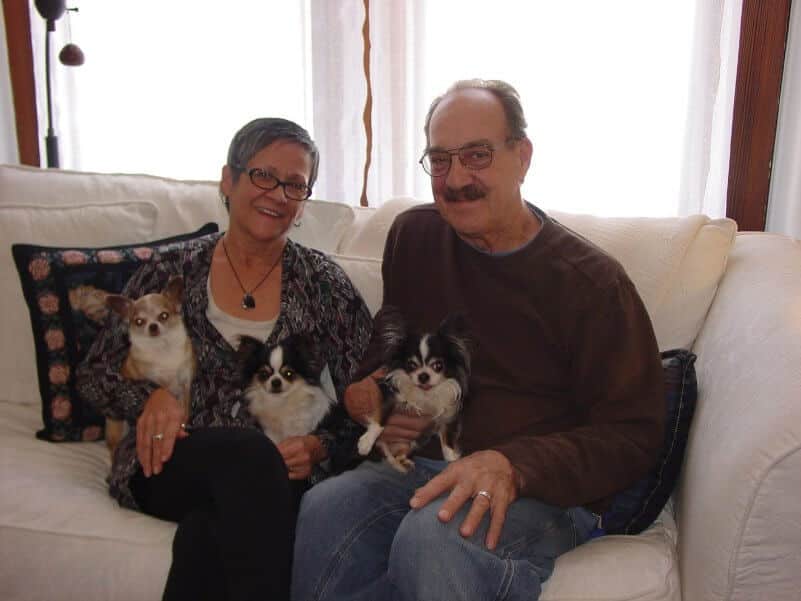 dogs social media