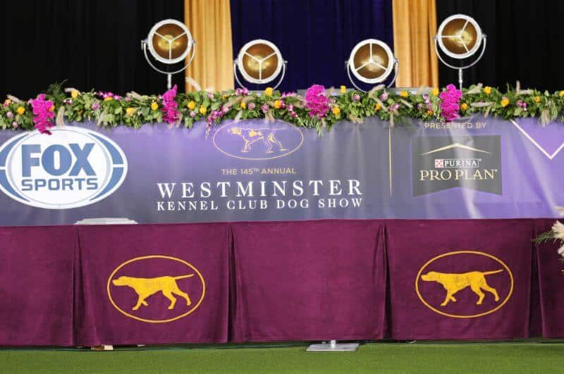 Westminster Kennel Club