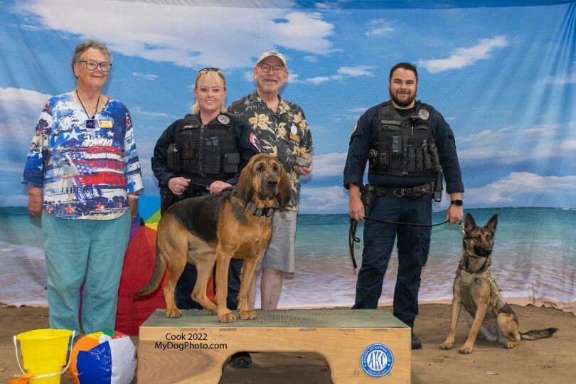 Baytown Kennel Club | Timothy Robbins