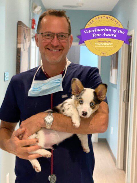 Dr. Joseph Rossi Veterinarian of the Year