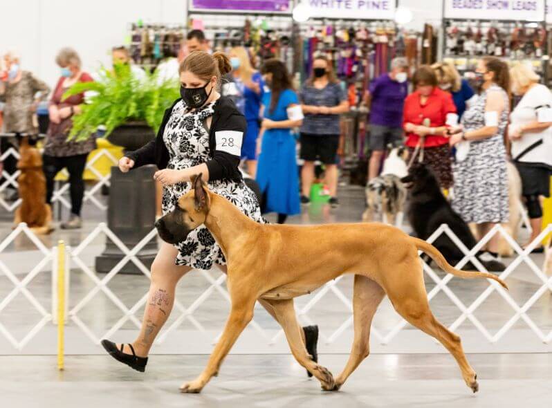 Owner Handler Jamie Riley