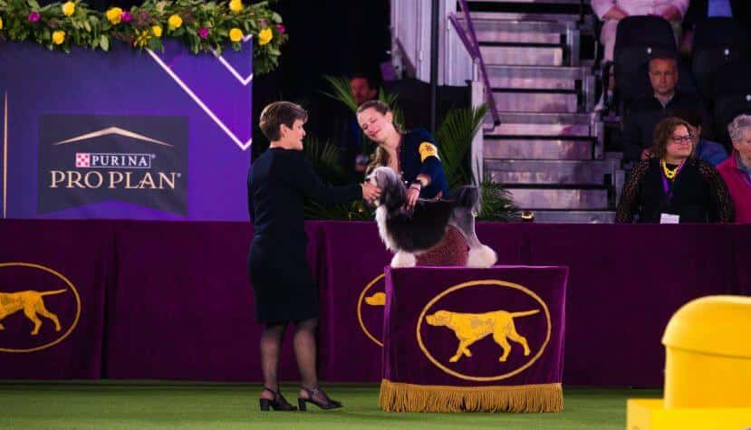 Westminster Junior Showmanship Judge Karen Mammano with 2022 WKC Best Junior Handler Erin Bernecker