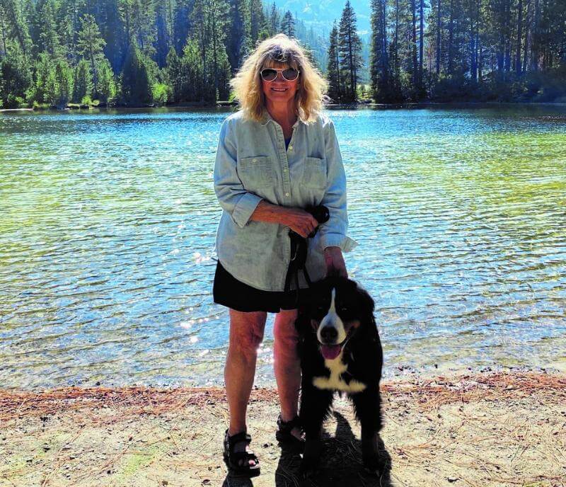 Bobbie Hefner | Swiss Star Farms' Bernese Mountain Dogs
