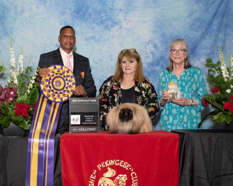 Deja vu Pekingese - Susan Farrer-Shephard