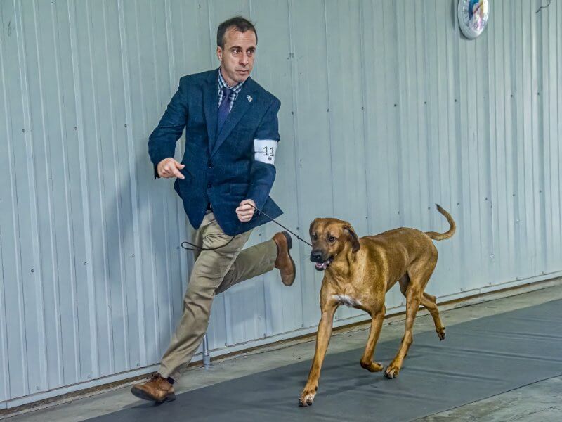 Clermont County Kennel Club Dog Show