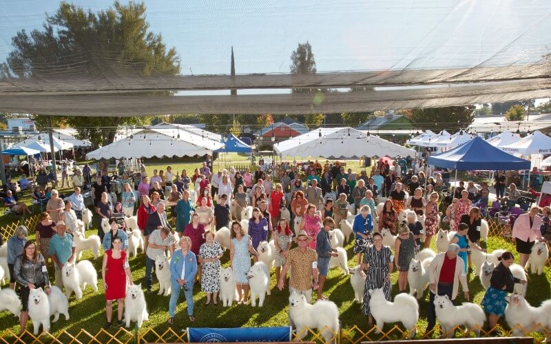 Samoyed Club of America National Specialty 2022
