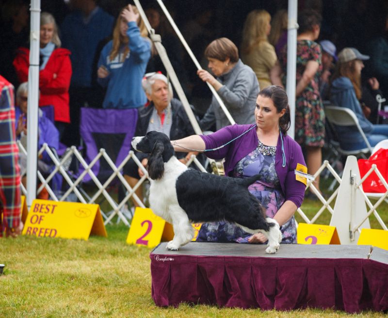 Owner Handler Dr. Kate Bremser with her dog at a dog show