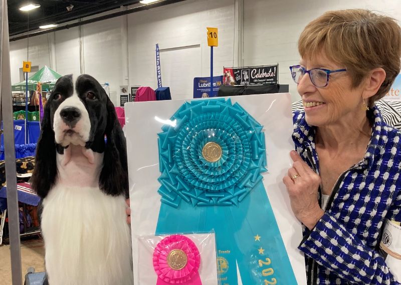 Laureen Camisi of Sapphire English Springer Spaniels
