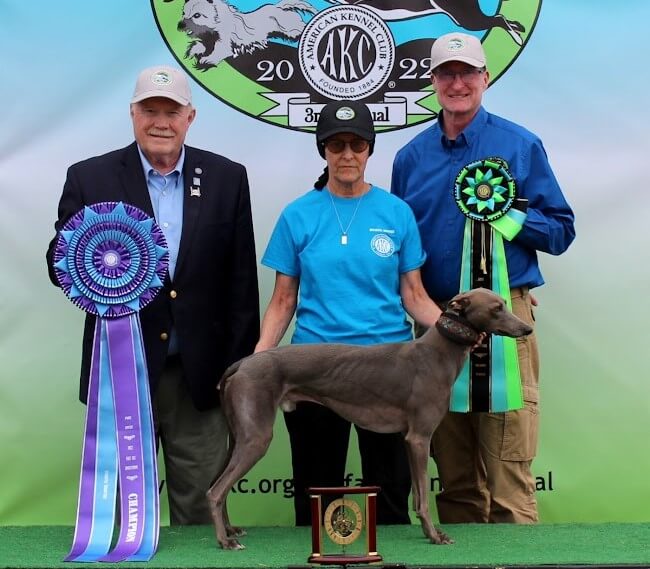AKC Fast CAT Invitational Pure Speed Division HC 1: Jammin’ Afternoon Tea At Chartwell CD BN RN JC FCAT3 CGC TKN ATT, a Whippet known as “Winston,” owned by Ellen Bonacarti and Susan Farebrother of New Jersey. L - R: AKC Executive Vice President of Sports