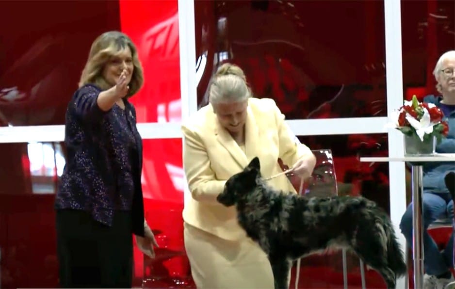 Danelle Brown with the 2022 AKC National Championship NOHS Herding Group winner
