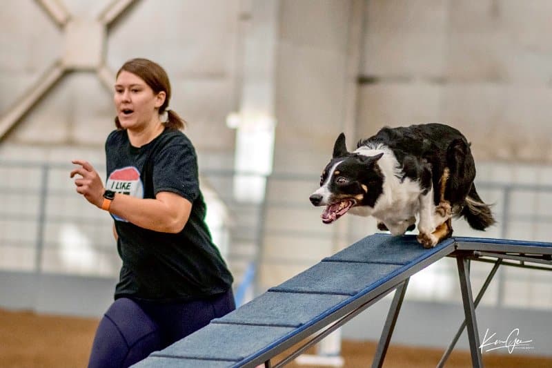 Caitlin Ascher with her Border Collie dog