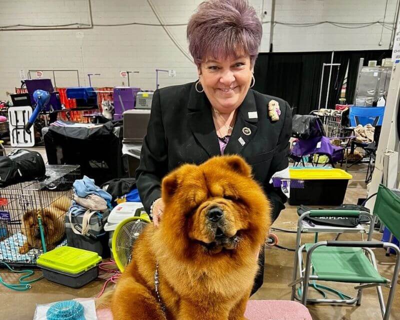 Jan Reed of DesertMoon Chow Chows